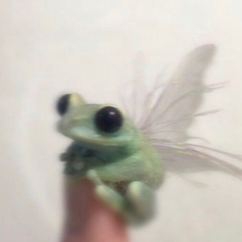 Meet your Posher, Zoe